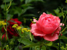 DSCN5657