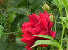DSCN5672
