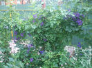 DSCF2152