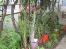DSCN6149