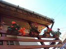 DSC07901
