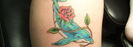 664_crop_700x250_tatuaje-delfin-imegine-2