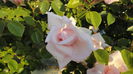 DSC07165