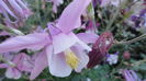 DSC06835