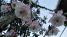 DSC06845