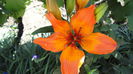 DSC07000