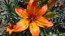 DSC07008