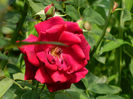 DSCN5677