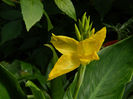 DSCN5683
