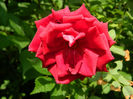 DSCN5694