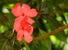 DSCN5699