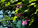 DSCN5756