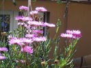 DSCN4065