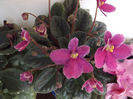 DSCF0159