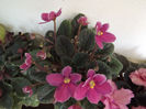 DSCF0161