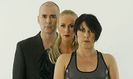 The Human League