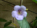 DSCN3091[1]