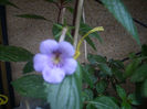 DSCN3092[1]