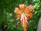 DSCN3093[1]
