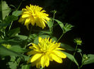 DSCN3094[1]