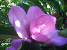 DSCN3095[1]