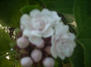 DSCN3145[1]