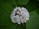 DSCN3148[1]