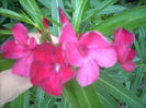 DSCN3152[1]