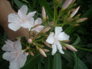 DSCN3151[1]