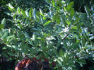 DSCN3139[1]