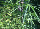 DSCN3140[1]