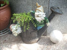 DSCN3111[1]