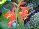 DSCN3137[1]
