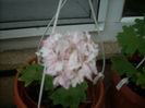 DSCN3125[1]
