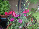 DSCN3121[1]
