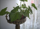 DSCN3120[1]