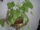 DSCN3119[1]