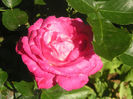 SANY0027
