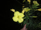 SANY0032