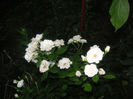 SANY0033