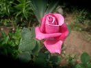 SANY4201