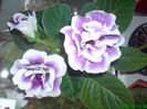 DSC07090