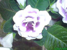 DSC07092