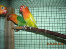 DSCN0144