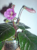 DSC07128