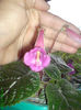 DSC07131