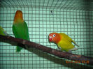 DSCN0145