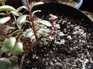 DSCF0223