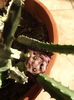DSCF0172