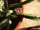 DSCF0173